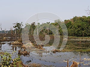 Moats neer Neak Pean Royal Reservoirs, Siem Reap Province, Angkor\'s Temple Complex Site listed as World Heritage by Unesco i