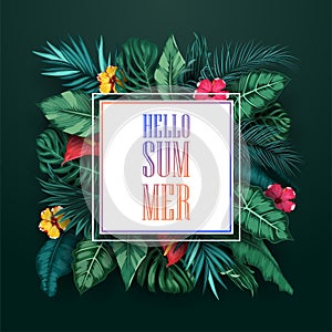 Tropical forest with square frame on black background