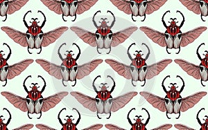 Seamless pattern with goliath beetle. Vector
