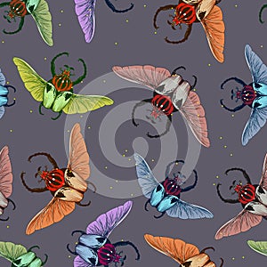 Seamless pattern with goliath beetle. Vector