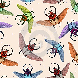 Seamless pattern with goliath beetle. Vector