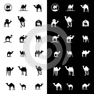 Set of camel logo design vector