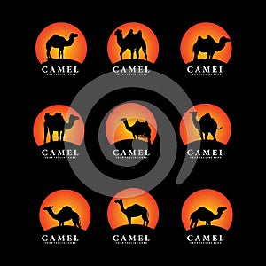 Set of camel logo design vector