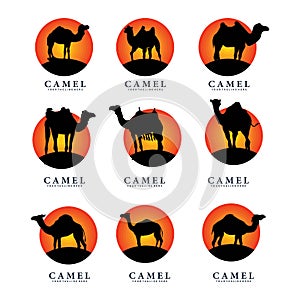 Set of camel logo design vector
