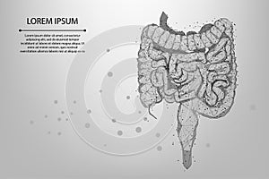 Abstract meah line and point polygonal intestines. Scanning, research and diagnosis of the human intestines