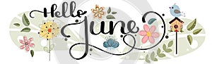 Hello June. June month vector decoration with flowers, bird house and leaves. Illustration month June photo