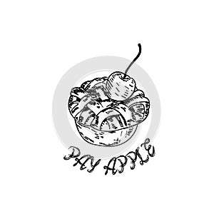 Hand drawn apple pie with ink and pen. Vintage black and white illustration. Sweet and dessert vector element.