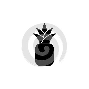 Pineapple icon vector on white background