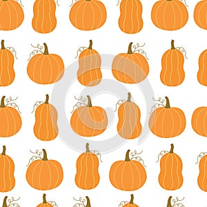 Seamless vector pattern Orange pumpkin hand drawn design on white background