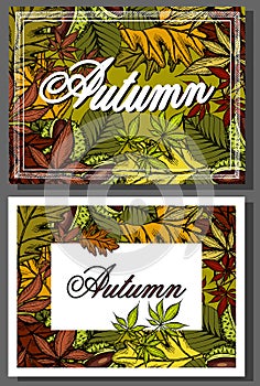 Vector illustration of set Autumn sale background. Ink sketch hand drawn colorful chestnuts, Fall leaves