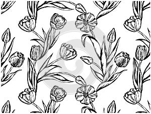 Sketch hand drawn pattern with black vintage tulip flowers isolated on white background. Retro line art flower