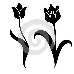 Set of silhouette of a flower bud vector art