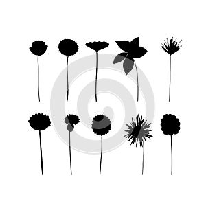 Vases and bottles with flowers and plants. Vector illustration. Black silhouettes.