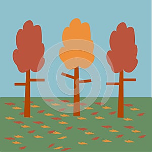 Colourful Fall Trees With Falling Leaves