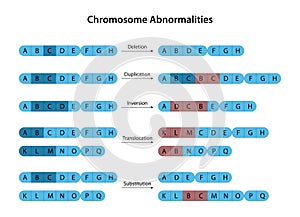 Chromosomal abnormality (chromosomal mutation) photo