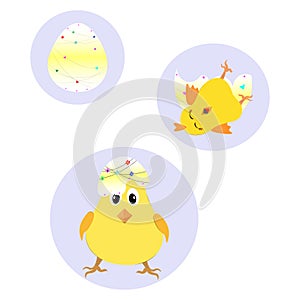 New Born baby Chicks and cracked egg shell isolated on white background,