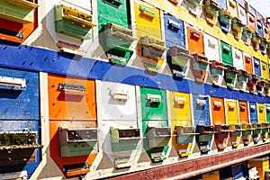 Mobile apiary. Beekeeping. Pollen trap for collecting pollen pellets from legs of honey bees