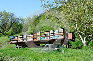 Mobile apiary-trailer at the foot of mount Mangup, Crimea