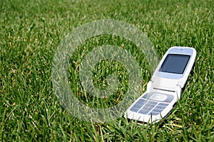 Cellulare sul erba al di fuori 