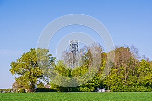 Mobile cell phone mast hidden in trees. Hertfordshire. UK