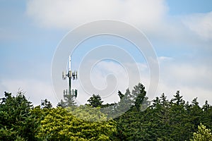 Mobile communications tower with antennas on top, showing above a forest tree line, sky and clouds in the background