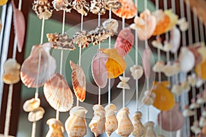 Mobile made from shells Hanging