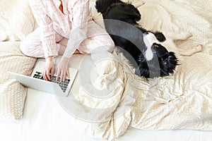 Mobile Office at home. Young woman in pajamas sitting on bed with pet dog working using on laptop pc computer at home. Lifestyle