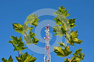 Mobile phone communication radio tv tower, mast, cell microwave antennas and transmitter against the blue sky and trees