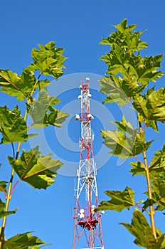 Mobile phone communication radio tv tower, mast, cell microwave antennas and transmitter against the blue sky and trees