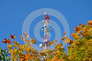 Mobile phone communication radio tv tower, mast, cell microwave antennas and transmitter against the blue sky and trees