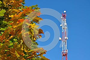 Mobile phone communication radio tv tower, mast, cell microwave antennas and transmitter against the blue sky and trees