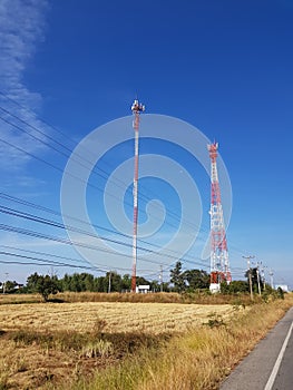 Mobile phone signal transmission towers in the middle of the field