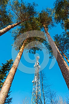 Mobile phone telecoms mast