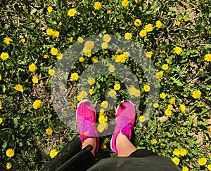 Mobile photo feemale feet pink snikerses yellow dandelions