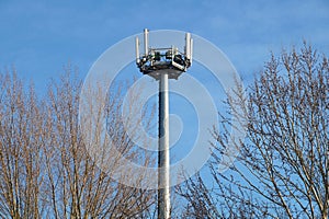 Mobile pole behind tree with blue sky back ground ,technology can coexist the environment