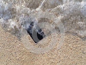 Mobile smart phone on the sandy beach with soft waves of sea background. Accident and insurance concept.