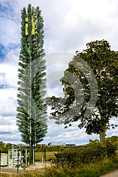 Mobile telecommunication cell tower disguised as a tree, camouflaged gsm antenna.