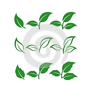 MobileSet of Green leaf icon design. Eco symbol concept isolated on white background. Vector illustration. Flat color style with