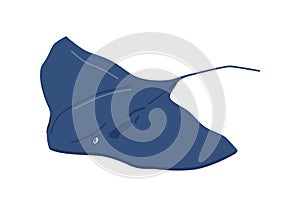 Devil fish, underwater dweller animal