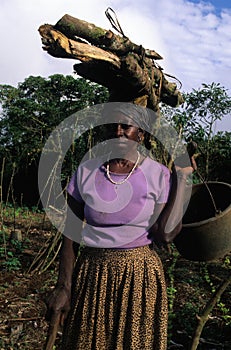 Moca .Equatorial Guinea