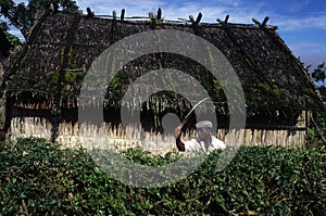 Moca - Equatorial Guinea