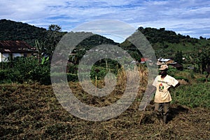 Moca - Equatorial Guinea