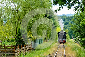 The Mocanita steam train on the Sovata-Campul Cetatii Route, Mures county, Romania