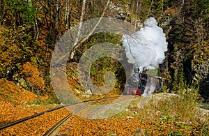 Mocanita steam train from Valea Vaserului, near Viseu de Sus village, Maramures, Romania photo