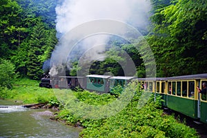 Mocanita touristic train - The last forestry steam working train in Europe. photo
