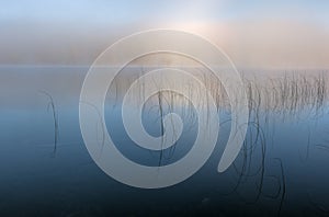 Moccasin Lake in Fog