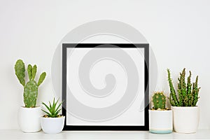 Mock up black square frame with potted cacti and succulent plants on a shelf against a white wall