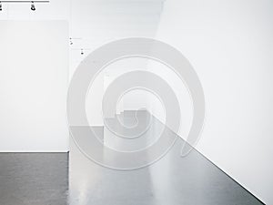 Mock up of empty museum gallery interior. 3d