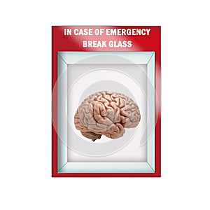 Mock up illustration - Emergency break glass case