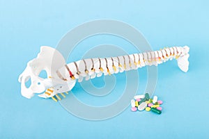 A mock up of the spine on a blue background and next to a handful of pills. Concept of analgesic anti-inflammatory tablets